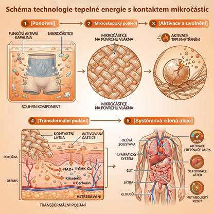 PAURAJU® 4v1 tvarující šortky s mikročásticovou technologií – stačí 30 minut denně 🍒🍒