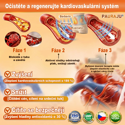 PAURAJU® 4v1 tvarující šortky s mikročásticovou technologií – stačí 30 minut denně 🍒🍒